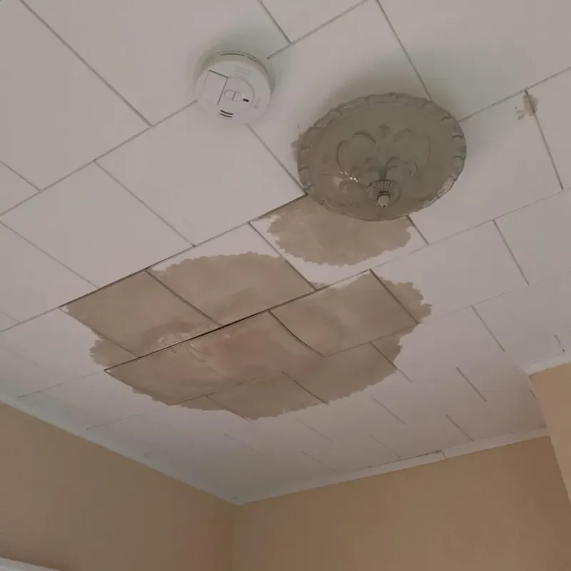 Ceiling Water Damage Repair in Mansfield City, CT