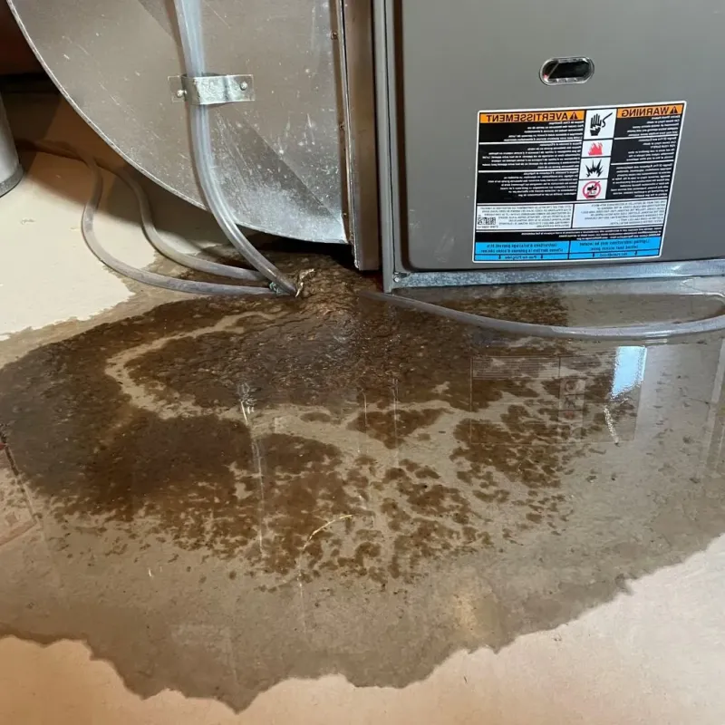Pipe Burst and Leak Restoration in Mansfield City, CT