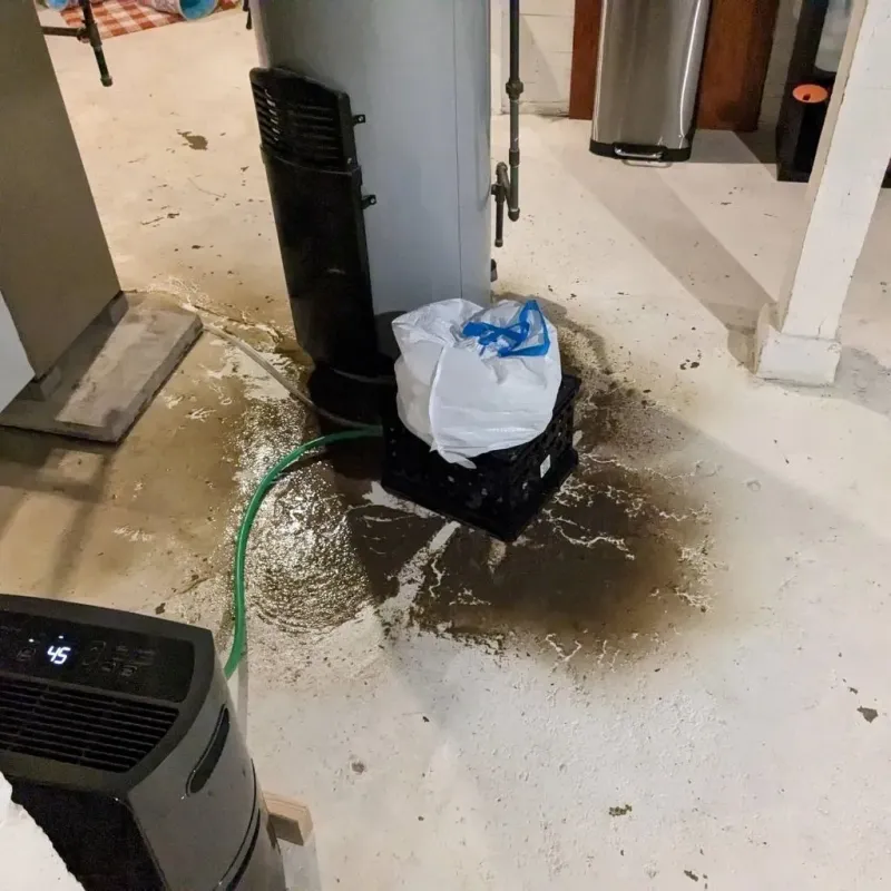 Sewage Backup Cleanup Service in Mansfield City, CT